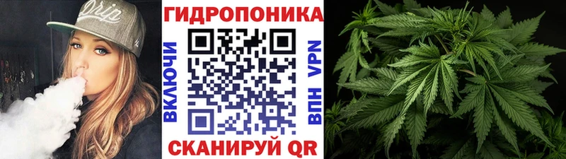 Магазин наркотиков Томилино МАРИХУАНА A PVP мега зеркало ГАШ