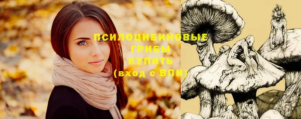 метамфетамин Ладушкин