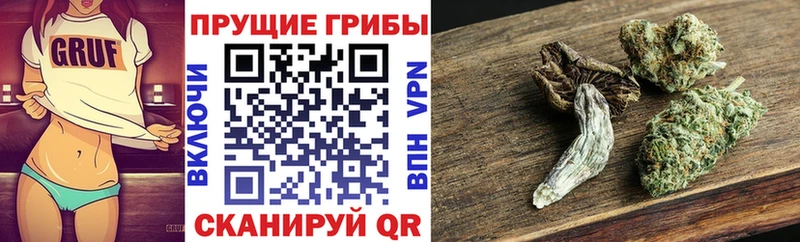 Псилоцибиновые грибы Cubensis  Томилино 